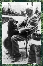 A photo of Freud and his dog